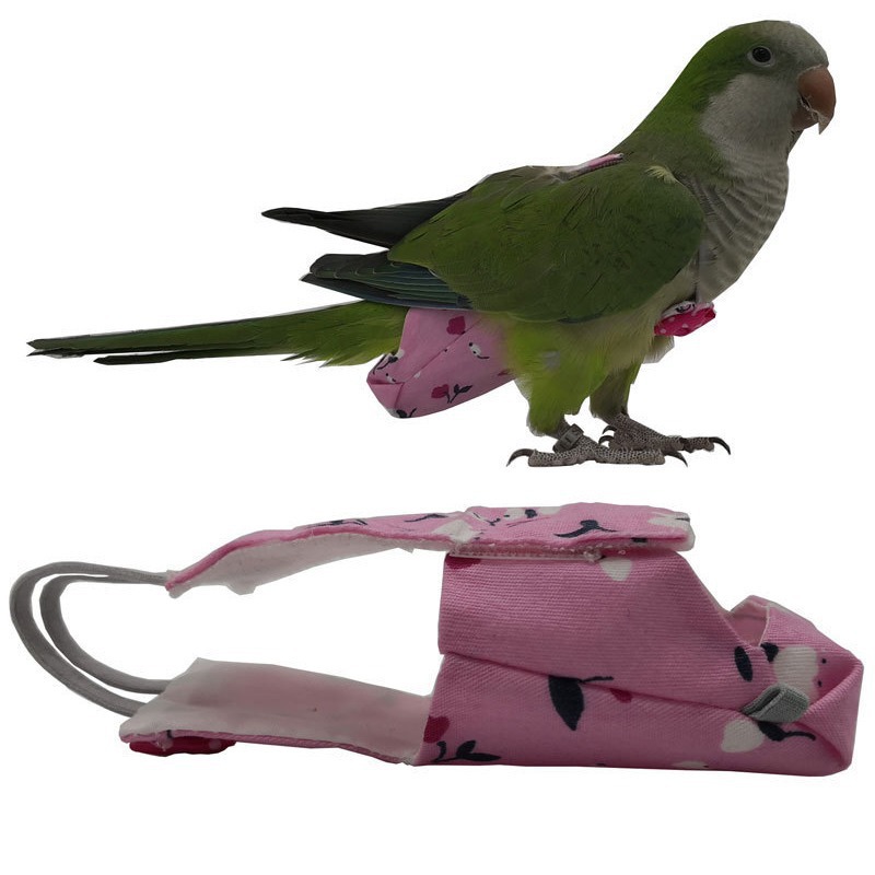 Pañal para Loro con Lazo, Lind - Plant Parenthood reseña y precio